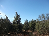 anobello-04032012 076
